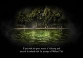 If you will be imbued with the physique of William Taft you drink the green waters of reflecting pool