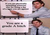If you are physically assaulting someone else for being a fan of a team you are against You are a grade A bitch imgflip.com