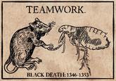 TEAMWORK. TEETY BLACK DEATH: 1346-1353