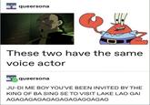 queersona These two have the same voice actor queersona JU-DI ME BOY YOU'VE BEEN INVITED BY THE KING OF BA SING SE TO VISIT LAKE LAO GAI AGAGAGAGAGAGAGAGAGGAGAG