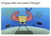 5'5 guys after one week in the gym