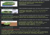Anonymous 06/16/26(Tue)06:29:54 No.221179526 >huge monster comes face to face with the main character >doesn't kill them >instead... "ROOOOAAAAAARRRR!" 32 KB JPG Anonymous retard ZONE 31 KB JPG Anonymous 06/16/26(Tue)06:32:19 No.221179560 >giant monster starts rampaging though the city >"I can totally take him on in a fight" 06/16/26(Tue)06:36:54 No.221179611 >monster slaughters dozens of soldiers in seconds >if the monster can catch the protagonist it just throws them around Anonymous batch support for lack of deck of doing what 06/16/26(Tue)06:40:12 No.221179656 >monster is 99% of the way defeated, laying on the floor, one hit away from never bothering anyone ever again >"Quick! Get out of here!" 28 KB JPG Anonymous >>221179526 (OP) # 06/16/26(Tue)06:41:34 No.221179666 >huge monster comes face to face with main character's gf >she puts up her hands and screams into the camera, cut to whatever the comic relief is doing, we won't find out if she's alive or dead until two minutes before credits roll