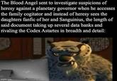 The Blood Angel sent to investigate suspicions of heresy against a planetary governor when he accesses the family cogitator and instead of heresy sees the daughters fanfic of her and Sanguinius, the length of said document taking up several data banks and rivaling the Codex Astartes in breadth and detail: imgtmp.com