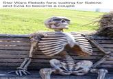 Star Wars Rebels fans waiting for Sabine and Ezra to become a couple made with mematic