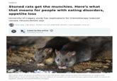Calgary Stoned rats get the munchies. Here's what that means for people with eating disorders, appetite loss University of Calgary study has implications for chemotherapy-induced nausea, neuroscientist says Amir Said CBC News Posted: Jun 14, 2026 8:00 AM ADT | Last Updated: June 14 Listen to this article ว () Estimated 6 minutes Rats chow down on grains of puffed rice in this file photo. New research from the University of Calgary and Washington State University digs into the effects of cannabis on rats and humans, particularly when it comes to appetite. (Sanjay Kanojia/AFP/Getty Images)