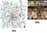 Idea Skills