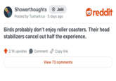 Showerthoughts + Join Posted by Tusharkrux · 5 days ago reddit Birds probably don't enjoy roller coasters. Their head stabilizers cancel out half the experience. 2.1K upvotes Comment Copy link View 73 comments