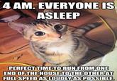 4 AM. EVERYONE IS ASLEEP PERFECT TIME TO RUN FROM ONE END OF THE HOUSE TO THE OTHER AT FULL SPEED AS LOUDLY AS POSSIBLE.