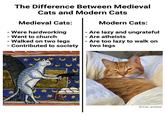 The Difference Between Medieval Cats and Modern Cats Medieval Cats: - Were hardworking - Went to church - Walked on two legs - Contributed to society Modern Cats: - Are lazy and ungrateful - Are atheists - Are too lazy to walk on two legs @tito.yoonha