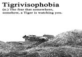 Tigrivisophobia (n.) The fear that somewhere, somehow, a Tiger is watching you.