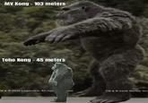 MV Kong - 103 meters Toho Kong - 45 meters M & © 2024 Legendary. All righ TM & © 2024 Warner Bro