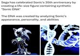 Sega has celebrated Sonic's 35th anniversary by creating a life-size figure containing synthetic "Sonic DNA" The DNA was created by analyzing Sonic's appearance, personality, and abilities.