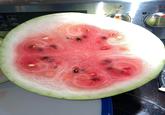 ep Farm Bake CONVECTION Proof Roast Custom Cook Steam CONVECTION LO OFF HI OFF OHI 8 8 6 4 LO LO
