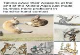 Taking away their weapons at the end of the Middle Ages just made bunnies more proficient in hand-to-hand combat