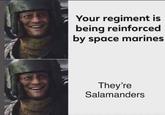 Your regiment is being reinforced by space marines They're Salamanders