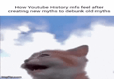 How Youtube History mfs feel after creating new myths to debunk old myths imgflip.com