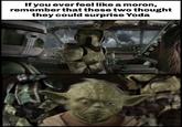 HH If you ever feel like a moron, remember that these two thought they could surprise Yoda