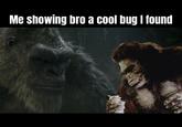 Me showing bro a cool bug I found
