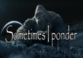 Sometimes ponder