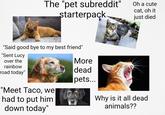 The "pet subreddit" starterpack Oh a cute cat, oh it just died "Said good bye to my best friend" "Sent Lucy over the rainbow road today" "Meet Taco, we had to put him down today" More dead |pets... Why is it all dead animals??