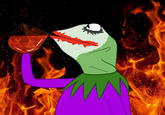 www