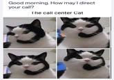 Good morning. How may I direct your call? The call center Cat