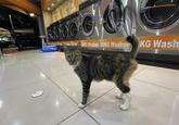 2 KG Washer 28KG Washer KG Wash