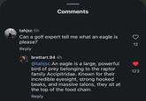Comments tahjsc 5h Can a golf expert tell me what an eagle is please? 12 Reply brettart.94 4h @tahjsc An eagle is a large, powerful bird of prey belonging to the raptor family Accipitridae. Known for their incredible eyesight, strong hooked beaks, and massive talons, they sit at the top of the food chain. Reply 123