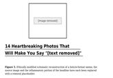 [image removed] 14 Heartbreaking Photos That Will Make You Say "[text removed]" Figure 5. Ethically modified schematic reconstruction of a listicle-format meme; the source image and the inflammatory portion of the headline have each been replaced with a removal placeholder.