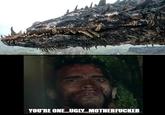 YOU'RE ONE... UGLY...M-----------