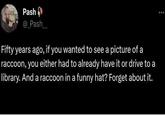 Pash @_Pash_ Fifty years ago, if you wanted to see a picture of a raccoon, you either had to already have it or drive to a library. And a raccoon in a funny hat? Forget about it.