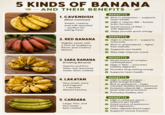 5 KINDS OF BANANA - - AND THEIR BENEFITS - 1. CAVENDISH (Most Common) Sweet, creamy, and soft-textured - perfect for eating fresh. 2. RED BANANA Slightly sweet with a hint of raspberry flavor and creamy texture. BENEFITS Rich in potassium - supports heart health High in vitamin B6 - boosts brain function Good source of fiber - aids digestion Helps provide quick energy BENEFITS High in vitamin C - supports immunity Rich in antioxidants - free radicals -fights Supports eye health May help improve mood 3. SABA BANANA (Cooking Banana) Starchy and firm when raw; becomes sweet when cooked. BENEFITS Good source of complex carbohydrates High in fiber promotes healthy digestion Provides long-lasting energy Supports heart health 4. LAKATAN Very sweet, juicy, and fragrant - a favorite dessert banana. 5. CARDABA Large, firm, and less sweet - best cooked. BENEFITS High in natural sugars - great energy booster Rich in potassium- helps maintain healthy blood pressure Contains vitamin B6 - supports brain and nerve function Promotes healthy skin BENEFITS High in resistant starch - supports gut health Good source of potassium and magnesium Helps regulate blood sugar Supports muscle function
