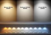 Warm White 3000k Natural White 4000k Cool White 6000k 1000 2000 3000 4000 5000 6000 7000 8000 9000 10000 K