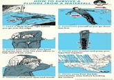 HOW TO SURVIVE A PLUNGE FROM A WATERFALL 1: TAKE a deep breath right before you go over the edge GET ACTION AOM 2: POSITION yourself so you go down feet first. 3: WRAP your arms over your head and press your nose into your elbow to help seal it from water. 4: TENSE your muscles and press your legs/feet together. 6: SWIM away from the falls immediately, even before breaking 5: TIGHTLY close your eyes and mouth. the surface. Art of Manliness and Ted Slampyak. All Rights Reserved.