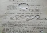 Anatomy of a Water drop: Highlight Shadow facing toward light source (this shadow is a reflection of the cast shadow) Light exit onto surface -Some Surface tone showing through Illuminated area Shadow opposite of light source (Cast shadow) 7 stages of drawing a water on 3 4 drop 5 toned paper: Draw the Add Add Blend Shape cast reflected Shadow Shadow Add White Blend for highlight Add darkest darks (sparingly) and illuminated area Tips & things to remember: - Determining direction of light source is a crucial first step. -When drawing multiple drops, be consistent with direction of light/shadows. This reinforces the illusion of light. - Keep your pencils sharp. -Try using - references from life and photos, and study different lighting lighting and surfaces affect the drop You will get better at this with practice! the way Once you are practiced and comfortable with basic water drops, try making Some custom ones.