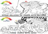LOW LOW MEDIUM CORTISOL HIGH SPEND MILLIONS OF YEARS WITH MOTHRA MEDIUM CORTISOL HIGH THREE YEARS WITH KONG ہوا