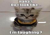 haha? Do I look like... I'm laughing?