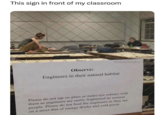 This sign in front of my classroom @collegefessing Observe: Engineers in their natural habitat Please do not tap on glass or make eye contact with them as engineers are easily frightened by normal people. Please do not feed the engineers as they are on a strict diet of energy drinks and cold pizza.