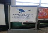 London Underground Level 5 Goose Warning The Goose on platform 2 is violent and has claimed the platform as his own. Please avoid. TRAVEL 152-6 1.50 HAYOR OF LONDON TRANSPORT FOR LONDON FOR LONDON