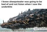 I knew sheepstealer was going to be bad af and not listen when I saw the underbite AKOTSK:MEMES
