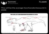 Twomato @Twomato1 X.com This will be the average Carcharodontosaurid in 2028 THIS WILL BE CARCHARODONTOSAURIDS IN 2028 Keratinized boss for intraspecific competition shoving matches Dewlap for heat dispersal and mate attraction Carcharodontovenatorsaurus averagensis Discovered in b------ africa or south america idfk Toe claw to aid large head in restraining prey Thoracic hump for muscle atttchments and fat reserves Brachial feathers for mating displays once males have competed in head shoving matches Caudal lamp solely for fat resrves during dryer months