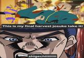 This is my final harvest josuke take it! shigechiiiiiiiii