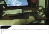what thehow is he putting his arm through the cat and it doesn't even care You clearly don't own a cat