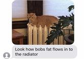 Look how bobs fat flows in to the radiator
