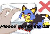 Please do not the cat