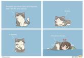 People say that cats are liquids. We can fill any space. A bottle. Okesanitw A box. A broken heart. *RUB "RUB 紐約狗狗