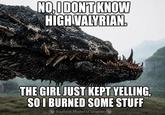 NO, I DON'T KNOW HIGH VALYRIAN. THE GIRL JUST KEPT YELLING. SO I BURNED SOME STUFF Southern Mother of Dragons