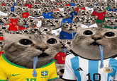 10 10 BRASIL 10 AFA