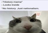 >"History meme" > Looks inside >No history. Just nationalism. imgflip.com