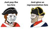 Just pay the tax bro Just give us representation bro